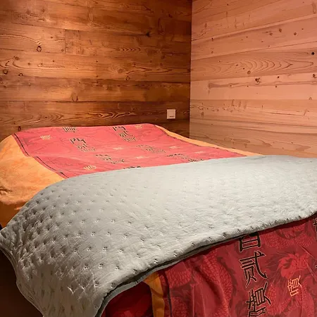 8 Pers Ac Jacuzzi Portes Du Soleil La Chapelle-chatel La Chapelle-d'Abondance
